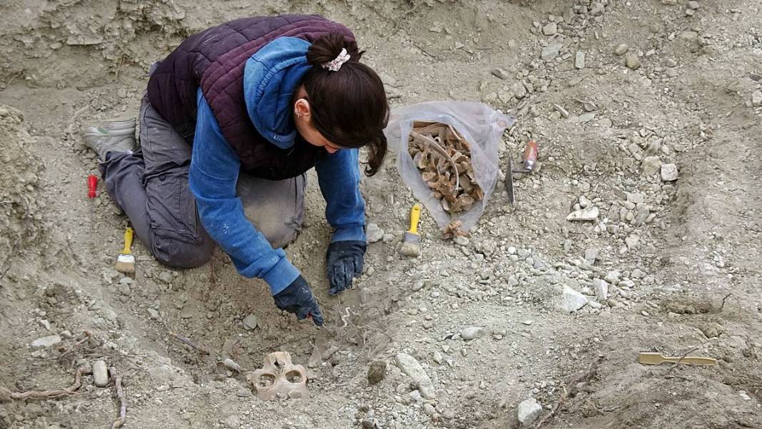 O kentte kanalizasyonda insan kemikleri bulundu! Kimlik tespiti için üniversiteden ekip gönderildi 8